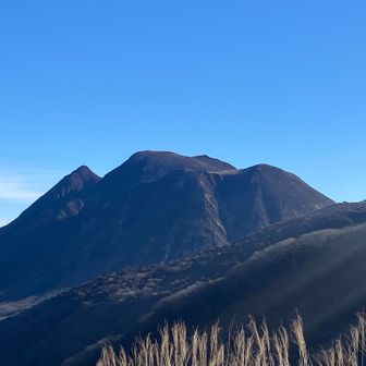 三俣様も、やっぱりご立派‼️