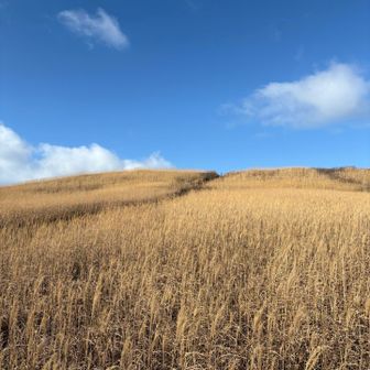 スッキリ晴れあがりました😊