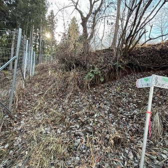 ココから登りましたが別のルートもあり💦