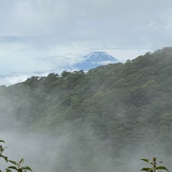 此処で富士山は見納め🗻