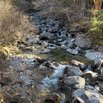 水の透明度、ハンパない