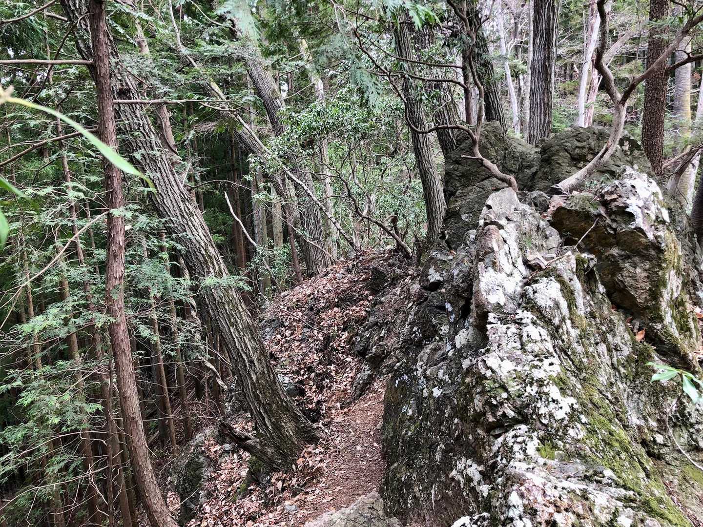 この先、痩せ尾根→岩鎖→痩せ尾根→岩鎖が何度か続く。