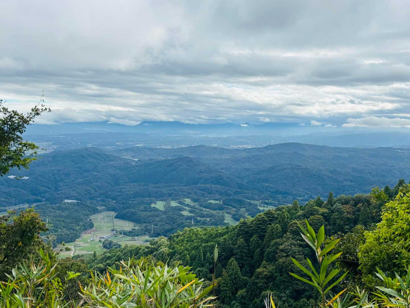 御斉峠-高旗山 往復コースの写真
