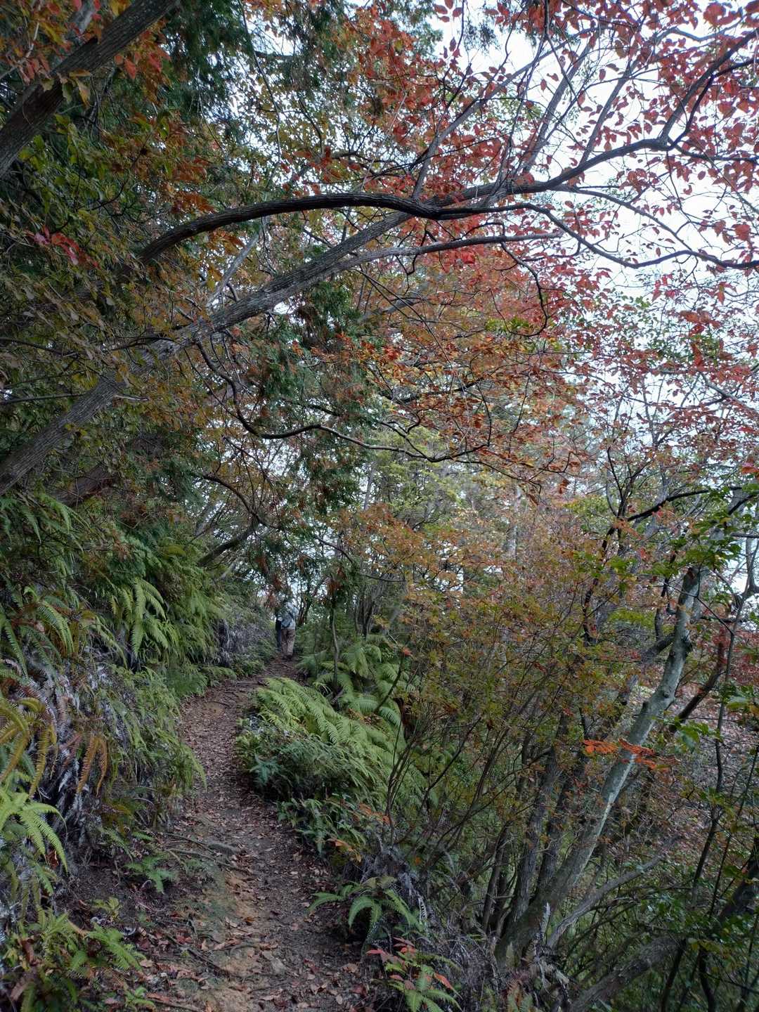 下山します。