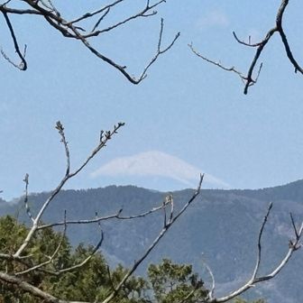 西側には真っ白な浅間山