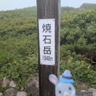 おめでとう🎉