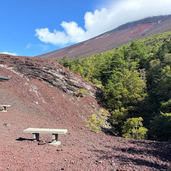 この窪みも噴火の後だそうです。