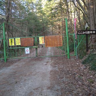 無事に戻れました。