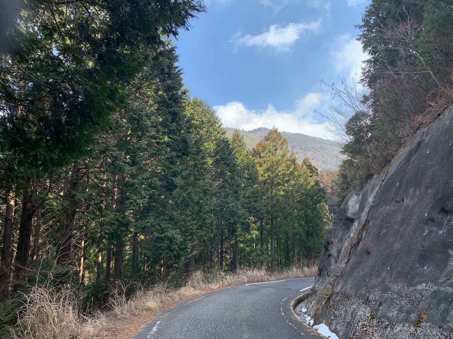 いつも思うことだが、あんな山に登って来たんだと😀