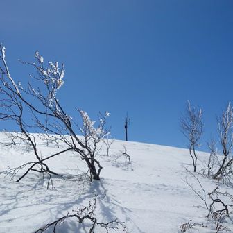 頂上まわりは霧氷
