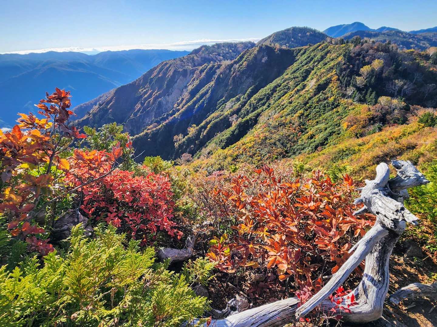 岩峰てっぺんからの眺め🍁
隣のピークに向かう山肌の斜面の方が色づきが良いみたい🍁
