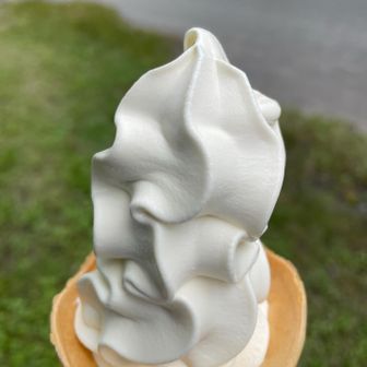 締めはやはりこれで400円