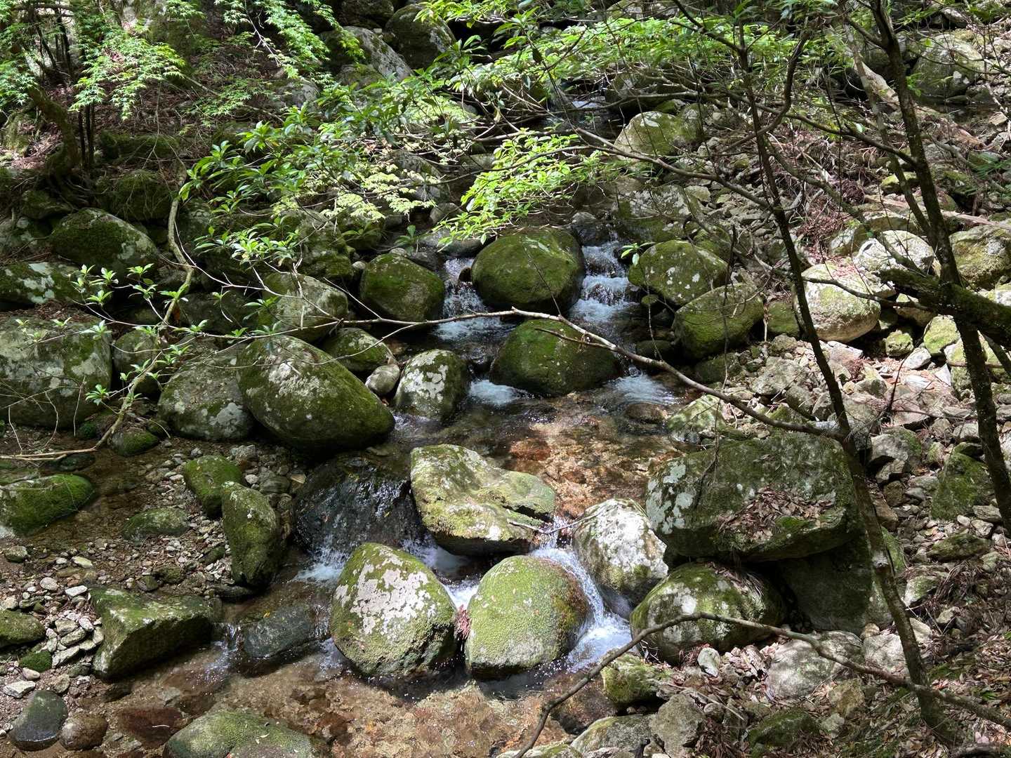 水の音が心地よいです