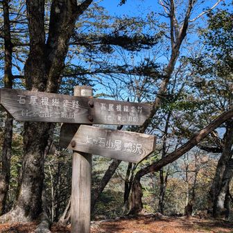 石尾根に到着。ここから本番です