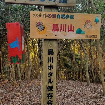 鳥川山登頂⛰️
何れのピークも眺望はいまいちな為、似た雰囲気。 そんな事も手伝って全く印象に残っておらず…

山行中も「そういえば、鳥川アルプスっていうけど鳥川山って山もあるのかなぁ?」等と何度となく言ってしまった。ちゃんと、あったのね😅 ゴメンね、鳥川山🙇