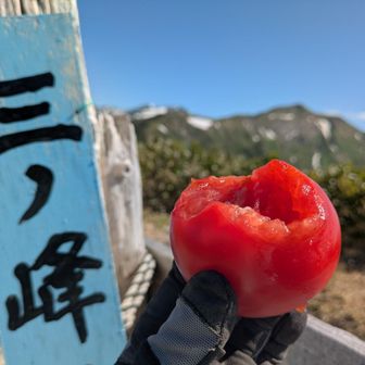 トマト🍅齧って
しばし別山と対話する
風があるし、御手洗池は行かないよ
帰りの体力、温存しなきゃね