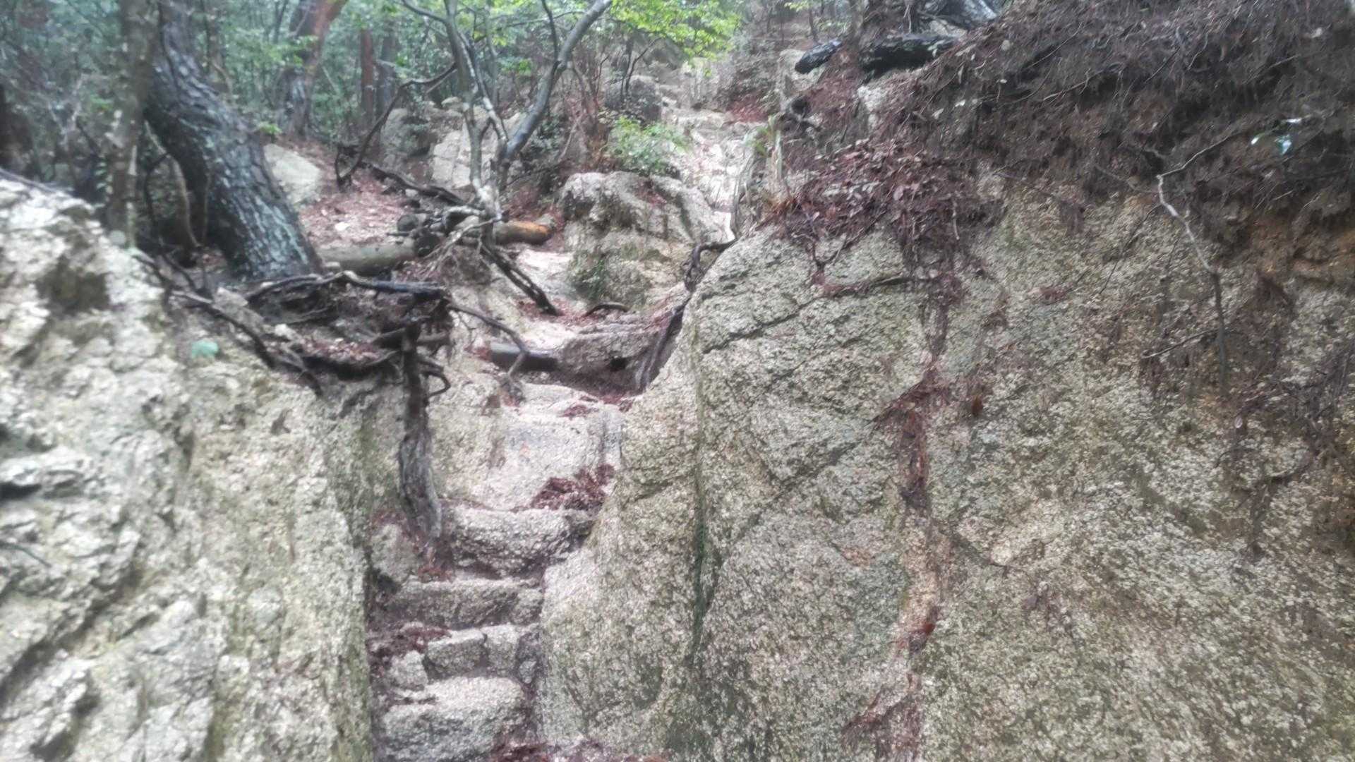 アルペン的