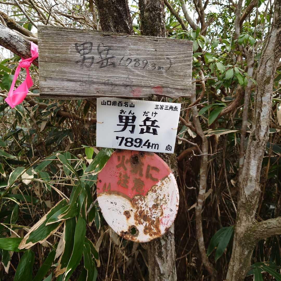 山頂に到着しました😄🎵
みややんプレートが風景の中に馴染んでる