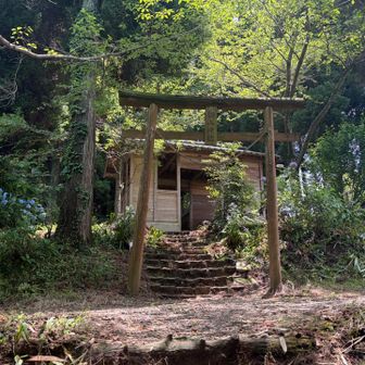 山頂直下にある白山神社にもお参りしました🙏