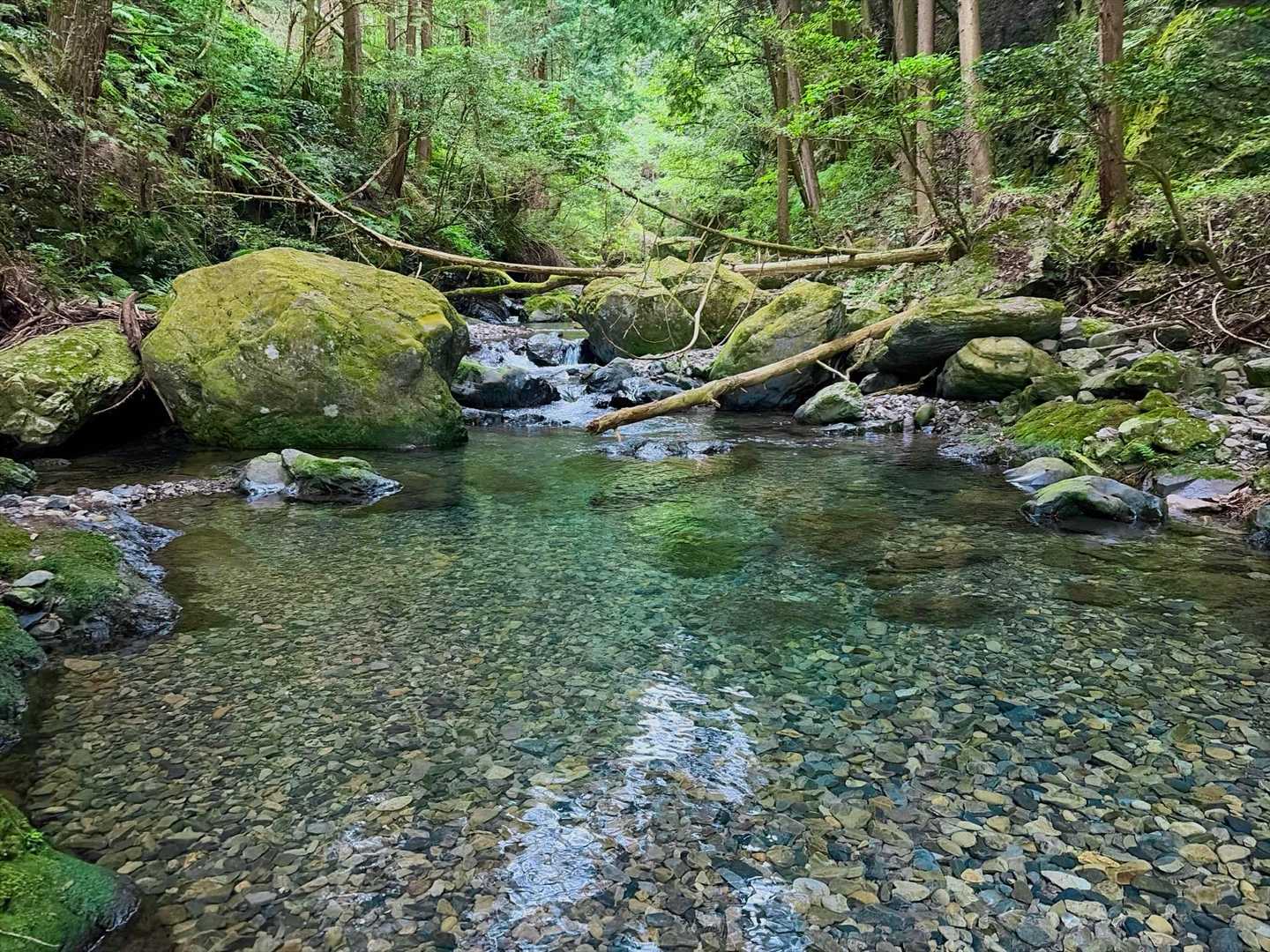 大門橋バス停-多度大社前バス停-多度大社-多度山道入口-多 周回コースの写真