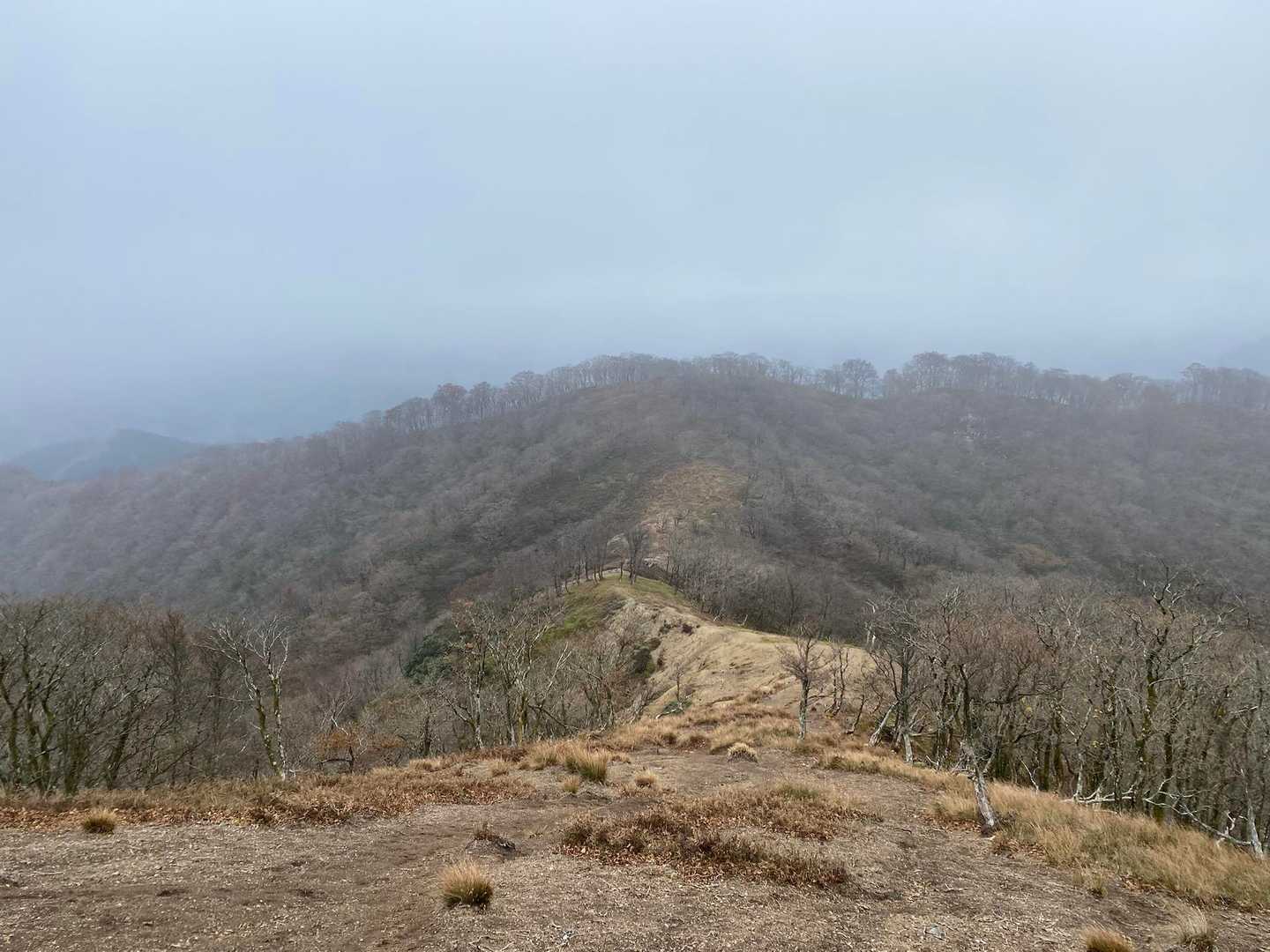 土倉岳方面に下山してます。
振り返って下山口を見る
こちらも急坂で落ち葉で登山道が見えないので滑りながら歩く🚶‍♂️