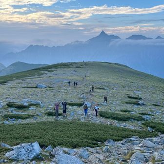 No Green No Life 178