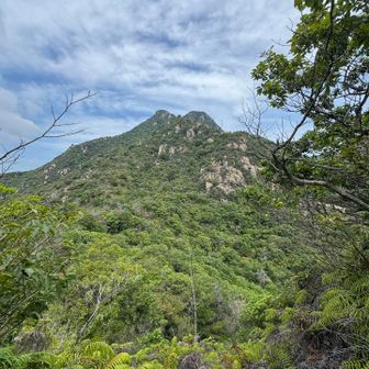 山頂方面も良い景色