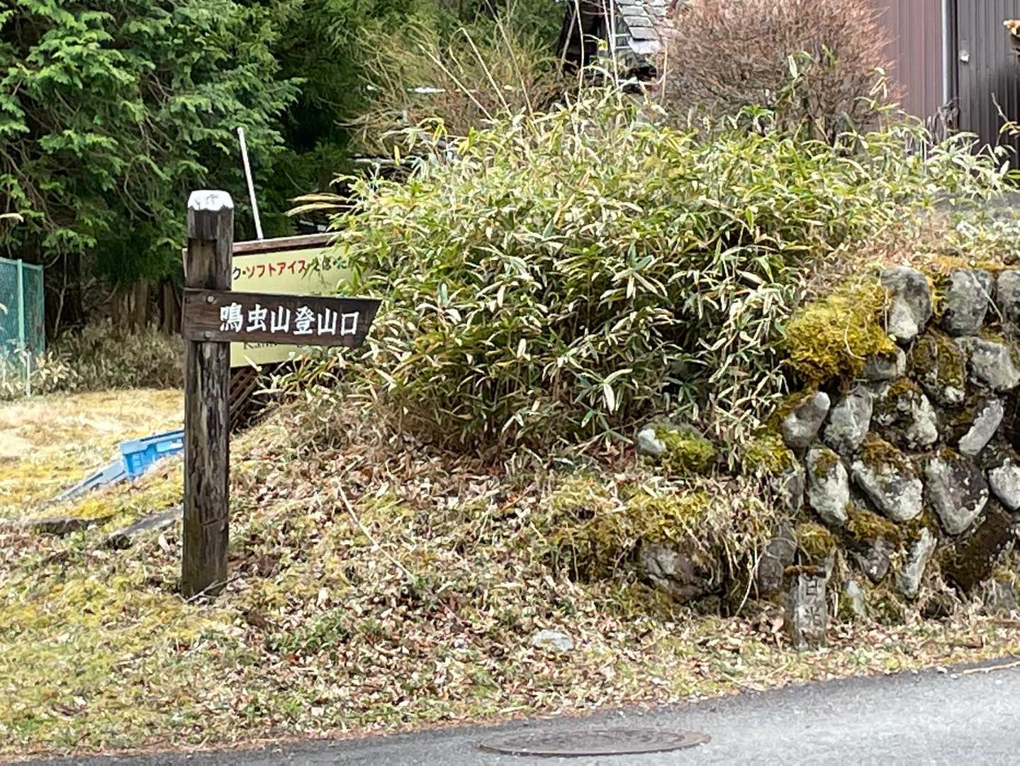 こちらからの登りはキツそうです。
