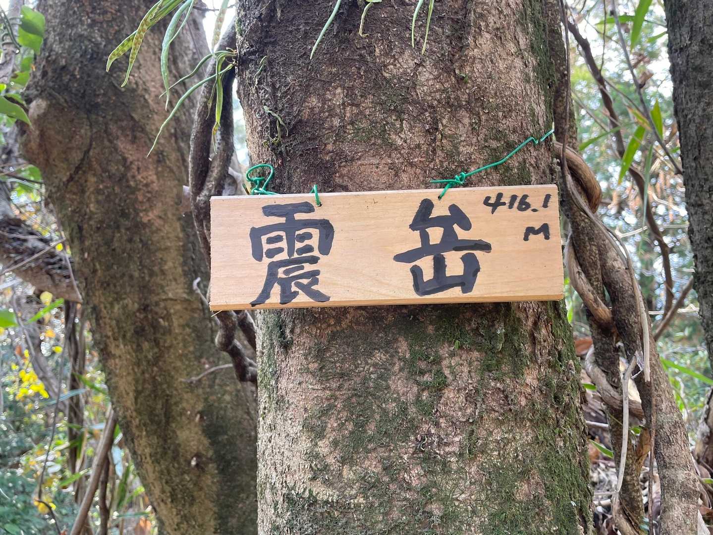 震岳 往復コースの写真