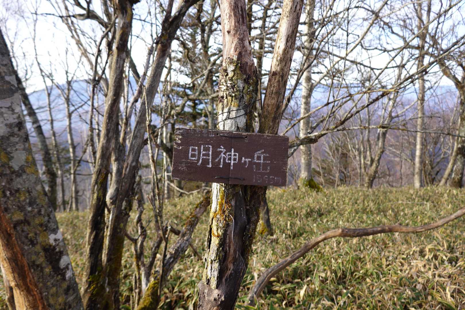 明神ヶ岳山頂