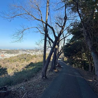 良い景色を見ながら下山🚶🏻‍♀️