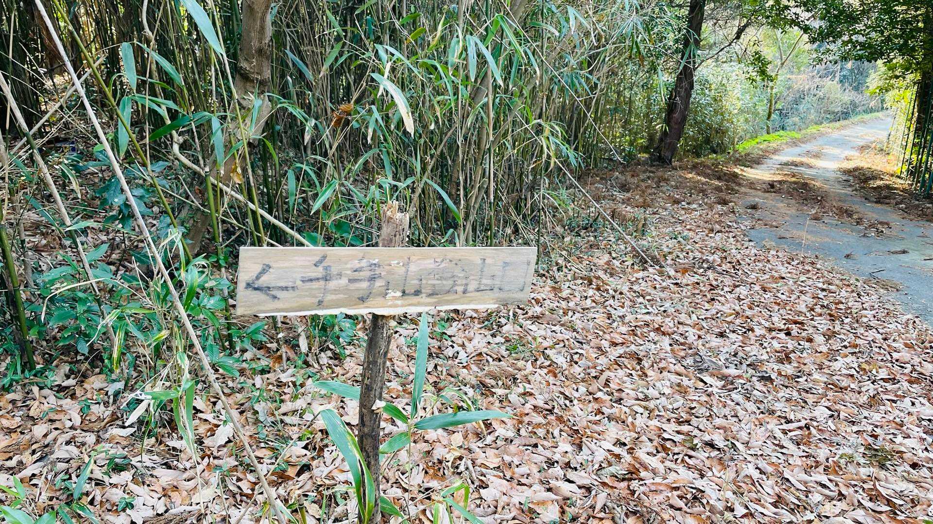 看板がところどころあるのでわかりやすい。