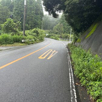 一瞬舗装路にでます。