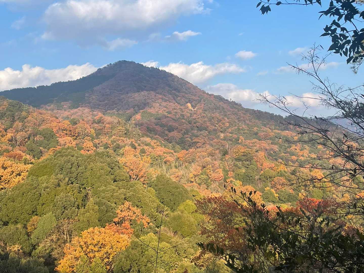 権現山 往復コースの写真