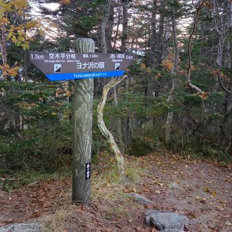 唐突にヨナ沢の頭
ピークっぽくもないけど…