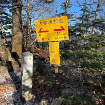 🏃‍♂️‍➡️