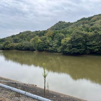 そばの池