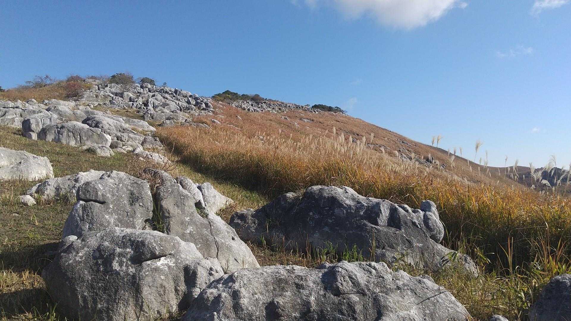 吹上峠-大平山-四方台 縦走コースの写真