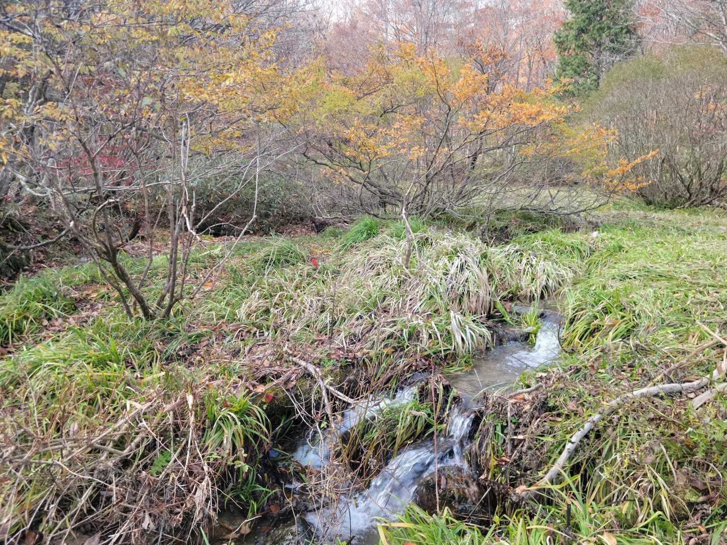 湿原
春先は草花が咲き乱れる🌼🌻☘🌱💐