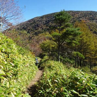 これから行く湯の丸