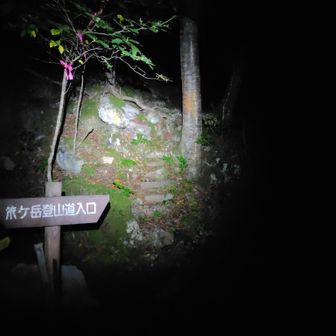 まだ暗い。寒さはそれほどでもなく、手袋いりませんでした