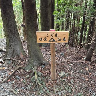お気に入りの🪧