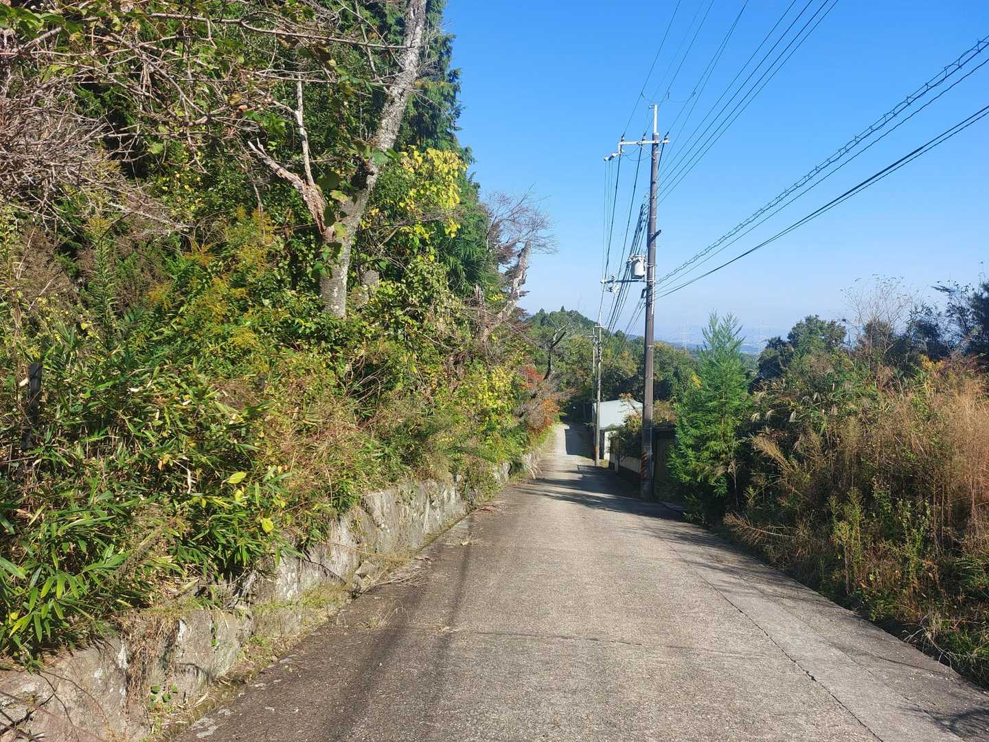 しばらくロード😅養老山地の雰囲気🎵