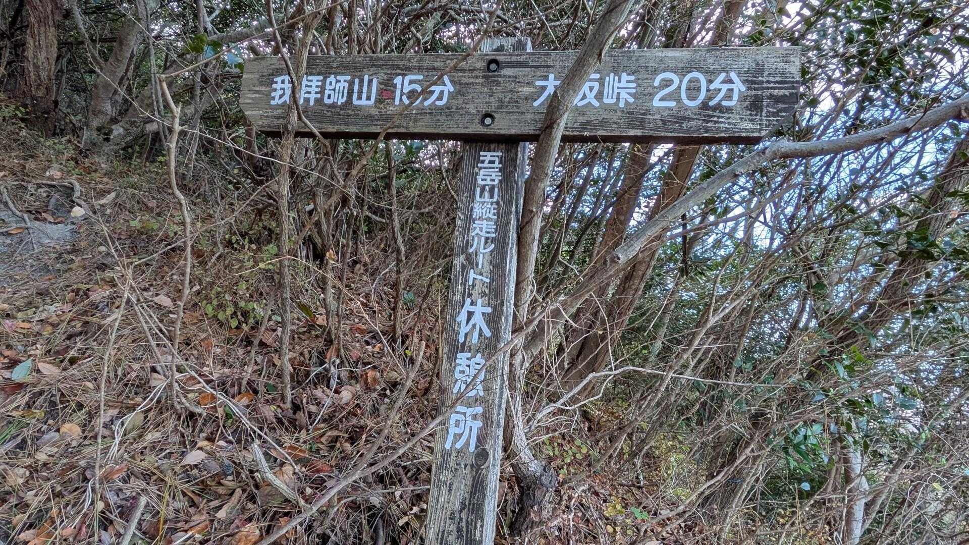 展望所