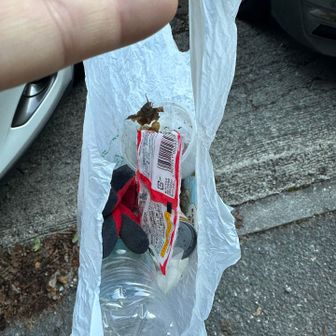 下山中に拾ったゴミ　ペットボトル、缶、手袋片手、その他ゴミ