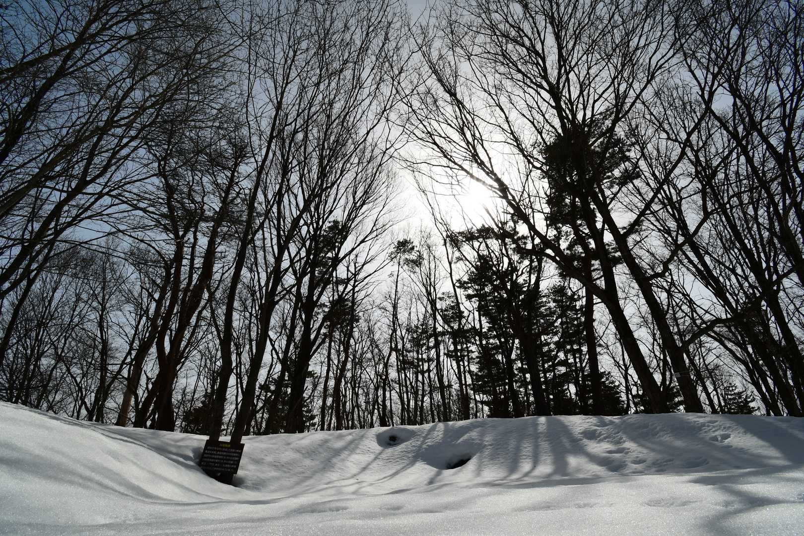 雁田山 縦走コースの写真
