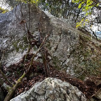 景色が良かった記憶が有るけど、この岩の上かな？