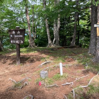 やはりクリンソウ狙いの人が多いと見えて、道中は前後に沢山のハイカーがいたけど、さんちょは無人🏝️
