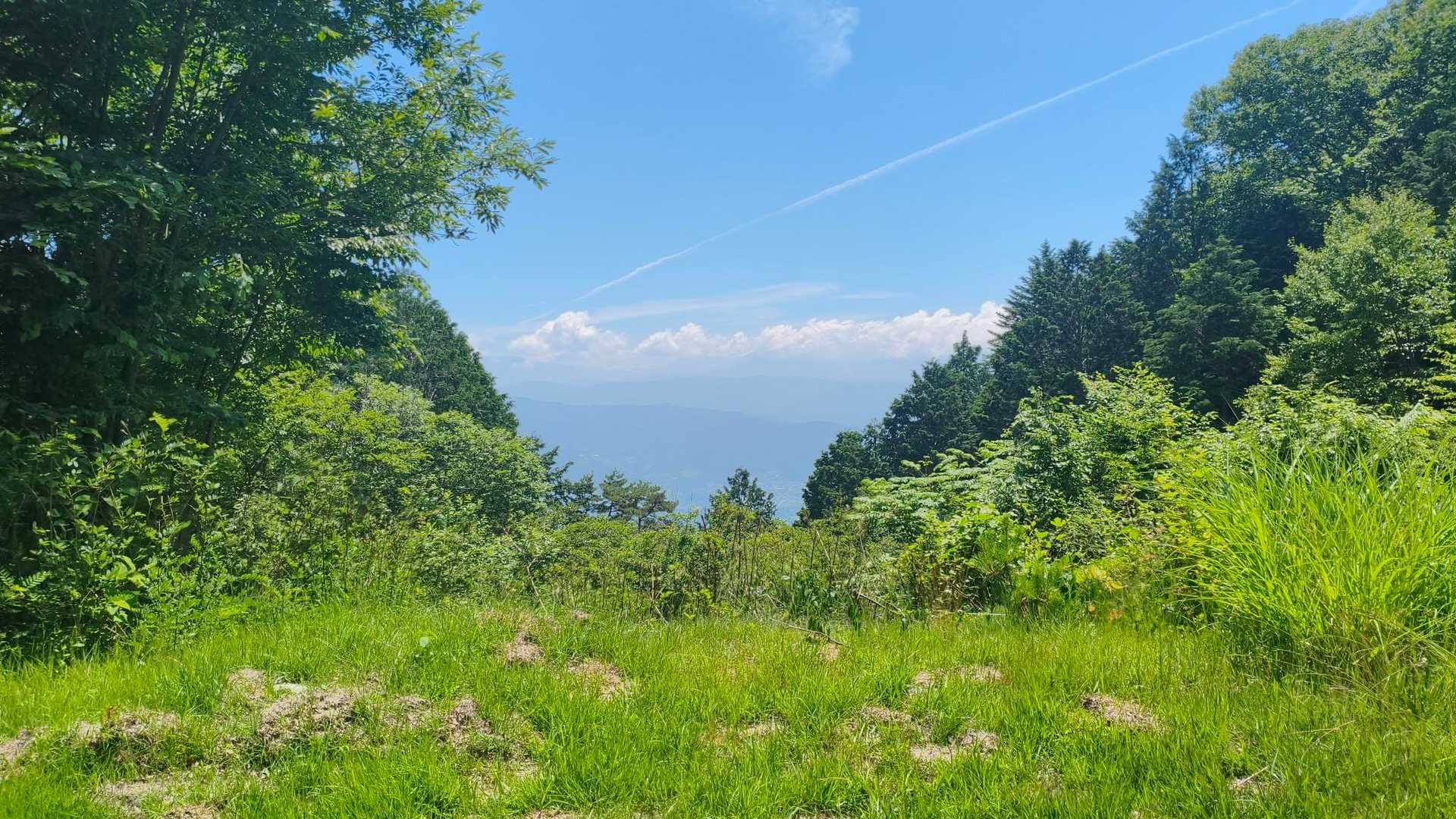 鳩打峠-小八郎岳-烏帽子岳-池ノ平山-念丈岳 周回コースの写真