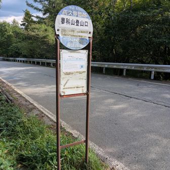 登山口に戻りゴール　